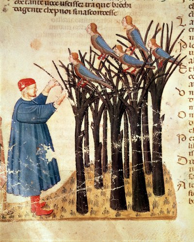 Dante a duše proměněné v ptáky, z Božské komedie od Dante Alighieriho (1265-1321) od Italian School