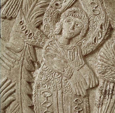 Detail z 