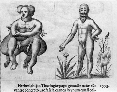 Různé typy lidských monster. Rytina z "Povaha příšer, jejich příčiny a rozdíly" od Fortunia Ačkoliiho (1577-1656), italského vědce. 1646 od Italian School