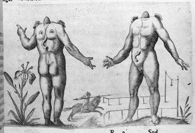 Různé typy lidských monster: muž bez hlavy. Rytina z "Povaha příšer, jejich příčiny a rozdíly" od Fortunia Ačkoliiho (1577-1656), italského vědce. 1646 od Italian School