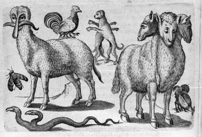 Různé druhy monstrózních zvířat s více těly nebo abnormálním počtem končetin. Rytina z „De monstrorum natura, causis et differentiis“ od Fortunia Licetiho (1577-1656), italského vědce. 1646 od Italian School