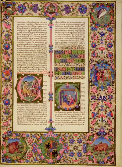Fol.212r Kniha Toby, z Bible Borso d
