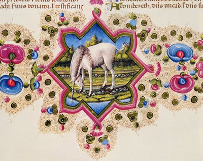 Fol.245V Jednorožec, z Bible Borso d