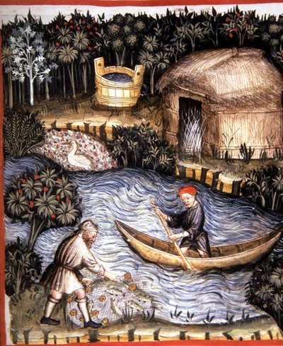 Fol.82r Čerstvá ryba, ilustrace z 
