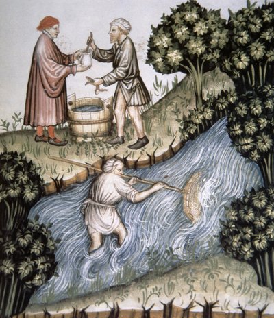 Fol.84r Rybaření, ilustrace z Tacuinum Santiatis Codex Vindobonensis od Italian School