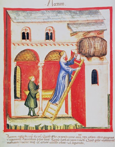Fol.85v Ocet, ilustrace z Tacuinum Santiatis Codex Vindobonensis od Italian School
