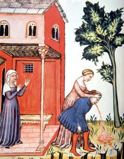 Fol.99v Throwing Up, ilustrace z Tacuinum Santiatis Codex Vindobonensis od Italian School