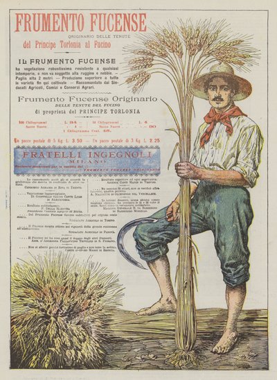 Frumento Fucense od Italian School