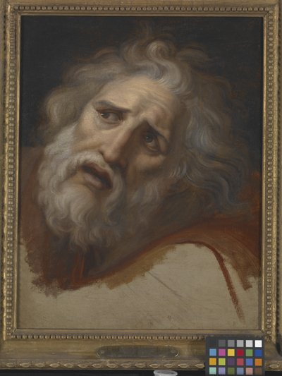 Head Of Laocoon (olej na plátně) od Italian School