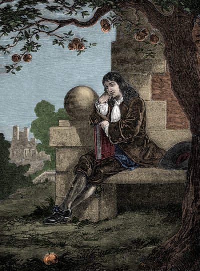 Isaac Newton pozoroval, jak jablko padá na zem, zatímco sedí pod stromem od Italian School