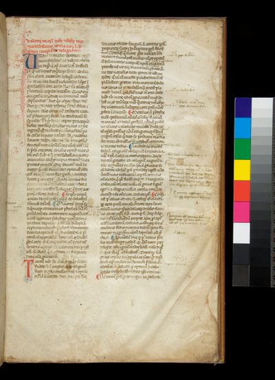 Paní 361. Valerius Maximus Příklad zaoblené gotické půlčtvercové knížky a barevné iniciály s kontrastním zdobením perem od Italian School