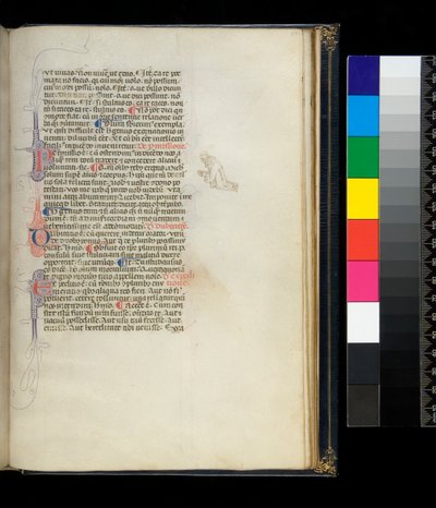 Ms 373. Pseudo-Cicero, Rhetorica ad Herennium a další díla, f.50r. Perem rozkvetlé iniciály a perová dekorace na okraji představující klečícího bosého mnicha, kolem roku 1337 od Italian School