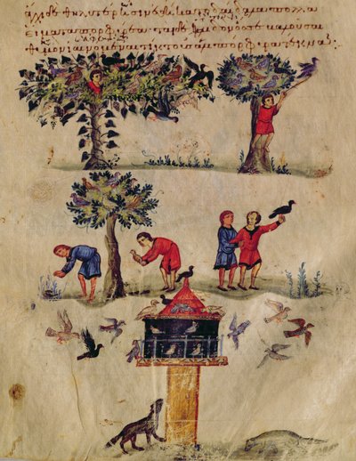 Ms Grec 479 Lov na ptáky, ilustrace pravděpodobně z Oppianovy Ixeutiky (tempera na pergamenu) od Italian School