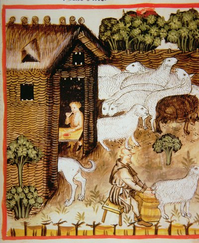 Nova 2644 fol.59r Chov ovcí: sladké mléko, od Tacuinum Sanitatis od Italian School