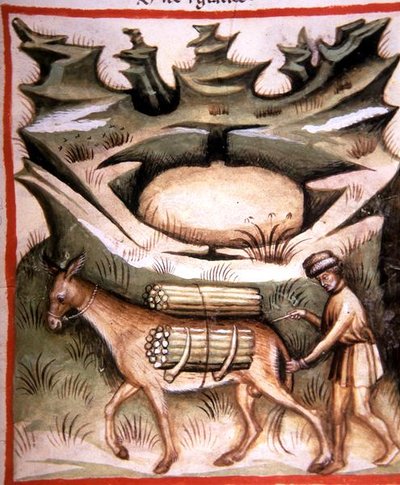 Nova 2644 fol.90r Sníh a led, z 