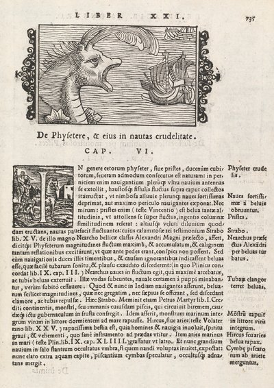 Strana 735 z Historie severu od Magnuse Olause, Řím 1565 (tisk a rytina) od Italian School