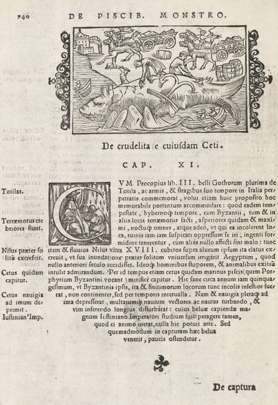 Strana 740 z Historie severu od Magnuse Olause, Řím 1565 (tisk a rytina) od Italian School