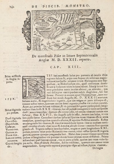 Strana 742 z History of the Northern Gentivus od Magnuse Olause, Řím 1565 (tisk a rytina) od Italian School