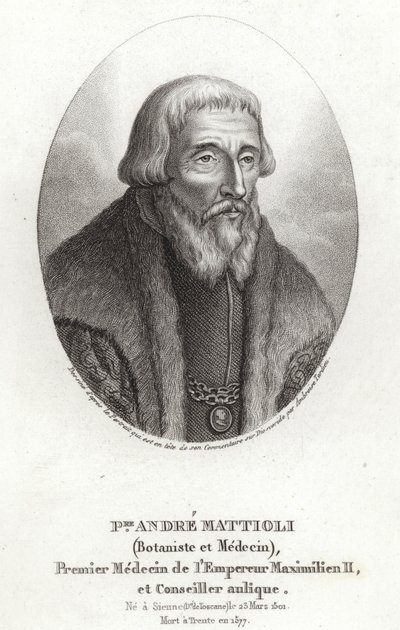 Pietro Andrea Mattioli od Italian School