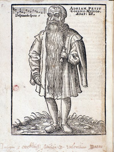 Portrét Adriana Petita Coclica (1500-1562) nizozemského skladatele renesance. od Italian School