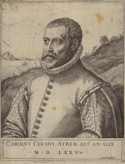 Portrét Carolus Clusius od Italian School