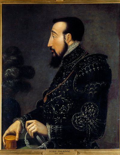 Portrét francouzského krále Jindřicha II. (1519-1559) Obraz italské školy. 16. století. Slunce 0,58x0,46 m Chantilly, muzeum Conde od Italian School