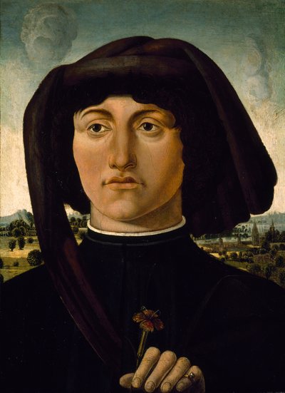 Portrét mladého muže s růžovým květem, cca 1475-85 (tempera na dřevě) od Italian School