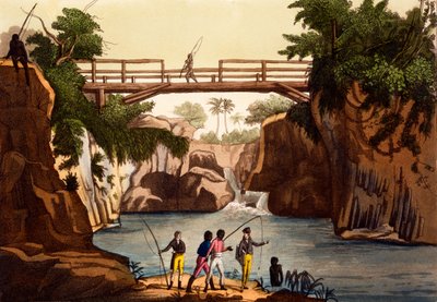 Řeka Roccie poblíž San Benedetta, Isle of Madagaskar, z Kostýmů... od Giulia Ferraria, cca 1820-30s od Italian School