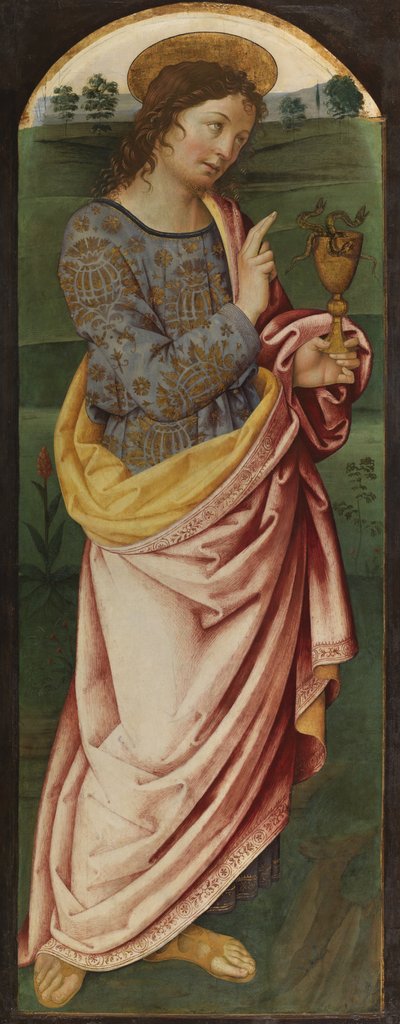 Svatý Jan Evangelista, kolem 1470-90 (tempera na panelu) od Italian School