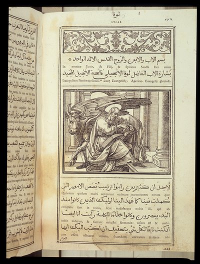 Svatý Lukáš Evangelista, Bible psaná v arabštině, Řím od Italian School