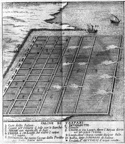 Solná bažina v Trapani. ilustrovaná deska převzatá z „“ Současného státu Sicílie“ od Arcangela Leantiho, Palermo 1761 od Italian School