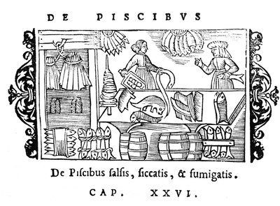 Solení, sušení a uzení ryb, ilustrace z Historia de Gentibus Septentrionalibus od Olause Magnuse (1490-1558), vydané v Římě, 1555 od Italian School