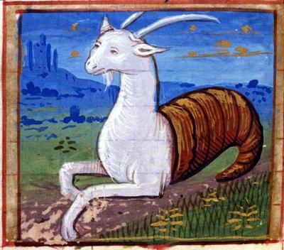 Znamení Kozoroha. Italský horoskop, polovina 15. století. od Italian School