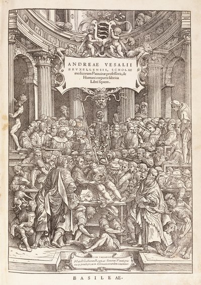 Autor provádějící anatomickou pitvu v chirurgickém divadle, 1543 od Italian School