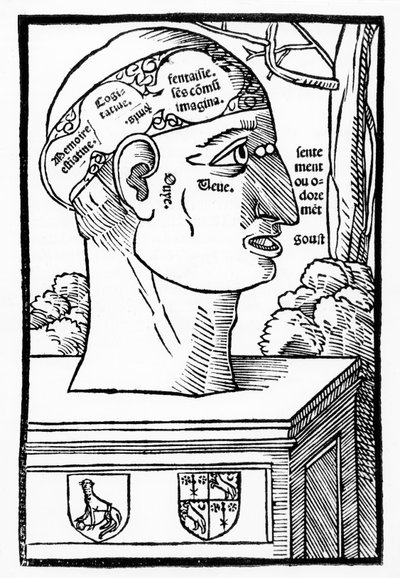 Mozkové a lidské schopnosti, z Anatomia Mundini, francouzské vydání, publikované v roce 1537 od Italian School