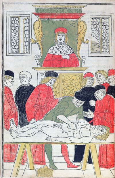 The Dissection, ilustrace z 