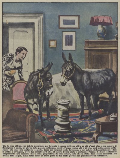 Dva osli chovaní v bytě v Bordigheře, Itálie (barevná litografie) od Italian School