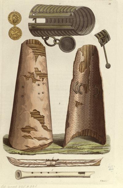 Různé vikingské artefakty: bronzový náramek, zlatá medaile s runovou abecedou, štíty, flétny. Ilustrace V. Raineri z 
