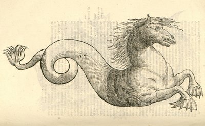 ilustrace Equus marinus monstrosus z Aldrovandis History of Monsters , 1642 od Italian School