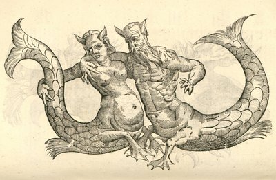 ilustrace Monstera Milaca Parei z Aldrovandus History of Monsters, 1642 od Italian School
