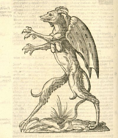 ilustrace okřídleného a rohatého monstra jako démona z Aldrovandis History of Monsters, 1642 od Italian School