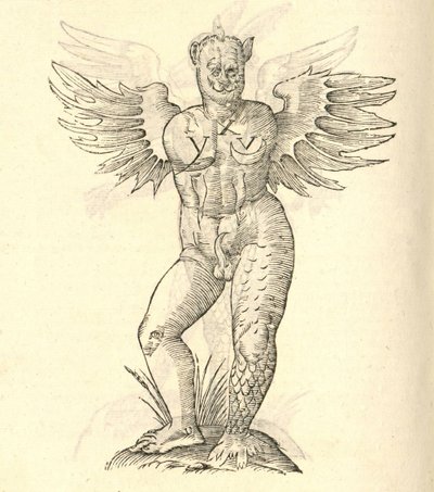 ilustrace okřídleného monstra z Aldrovandis History of Monsters, 1642 od Italian School