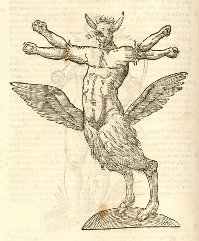 ilustrace Monstra z Aldrovandis History of Monsters, 1642 od Italian School