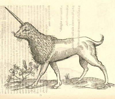 ilustrace Camphurch z Aldrovandus History of Monsters, 1642 od Italian School