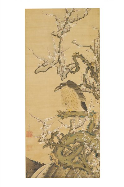 Umetaka-zu (Jestřáb na rozkvetlé švestce) od Ito Jakuchu