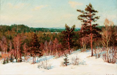 Zima - Pohled na les od Ivan Fedorovich Choultse