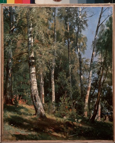 Březový háj (Birch háj) - Malba Ivana Ivanoviče Šiškina (Shishkin) (1832-1898), olej na plátně od Ivan Ivanovich Shishkin