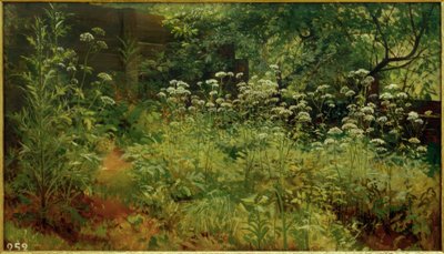 Giersch. Pargolowo od Ivan Ivanovich Shishkin