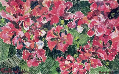 Rhododendron, 1962 od Izabella Godlewska de Aranda