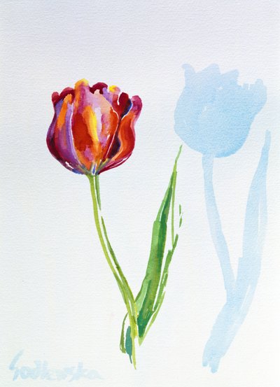 Tulip, 1998 (wc na papíře) (viz také 124446 & 124447) od Izabella Godlewska de Aranda